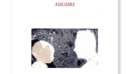 Livre : L'Alter de ton augure - JT Fouletier
