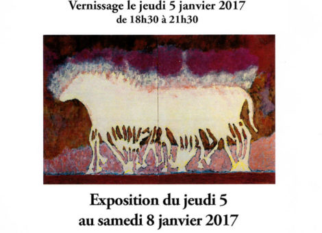 2017 janv.- Expo Centre Anim'Arras - Paris