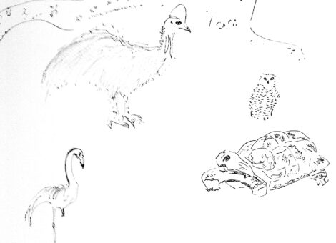 Bestiaire au jardin des plantes