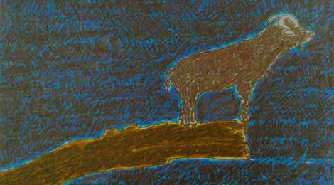 Bouc au jardin des plantes