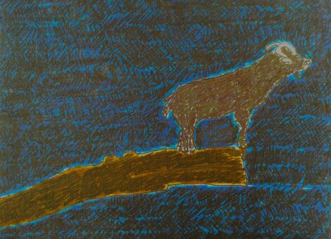 Bouc au jardin des plantes