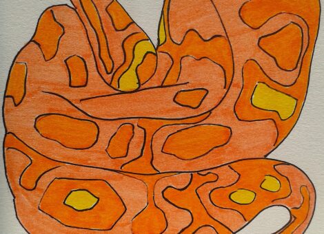 Serpent au vivarium du jardin des plantes