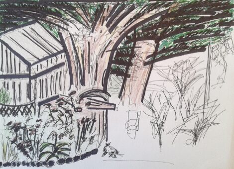 Jardin en direction de Batz (2)