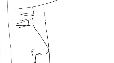 Préparation dessin article "Les no sé abondent" (N le naudit)